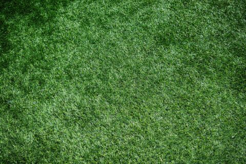 Experienced Artificial Grass services near Evesham