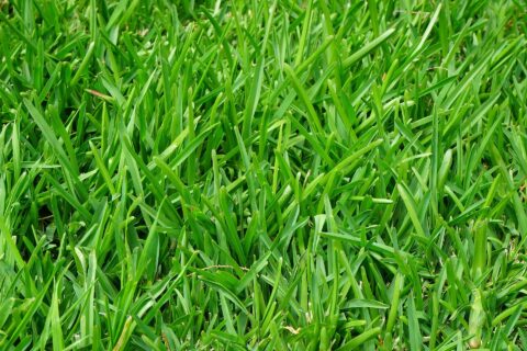 Grass Turf Fitter Gloucestershire