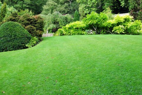 Gloucestershire Lawn Turf Installers