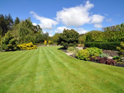 Local Turf near Cirencester