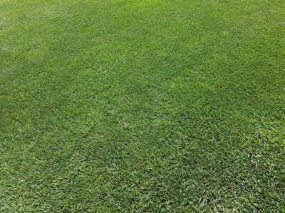 Trusted Cirencester Turf company